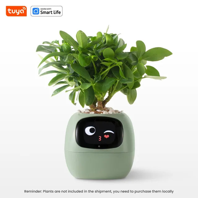 AI Smart Planter With 7 Sensors For Smart Plant Care by eprolo