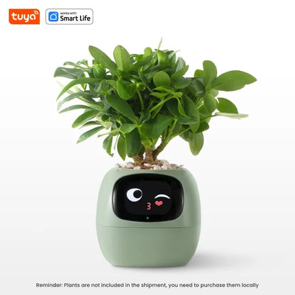 AI Smart Planter With 7 Sensors For Smart Plant Care by eprolo