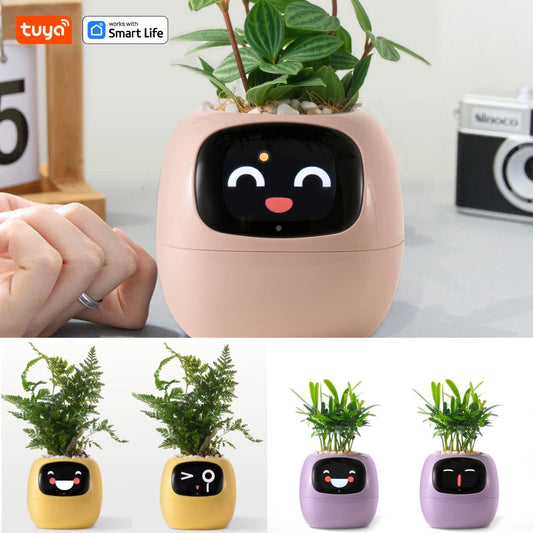 AI Smart Planter With 7 Sensors For Smart Plant Care by eprolo